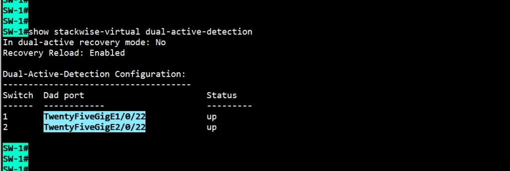 Cisco Catalyst 9500 Dual-Active Detection verification showing port 22 Up on both switches and recovery mode No
